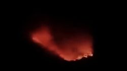 Bromo Dilalap Api, Wisata Ditutup! Publik Desak Penanganan Kebakaran Lebih Serius,!!!