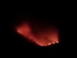 Bromo Dilalap Api, Wisata Ditutup! Publik Desak Penanganan Kebakaran Lebih Serius,!!!