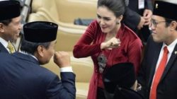 MK Persempit Jerat Pasal Penghinaan Presiden, DPR Soroti Batas Kritik dan Kekuasaan